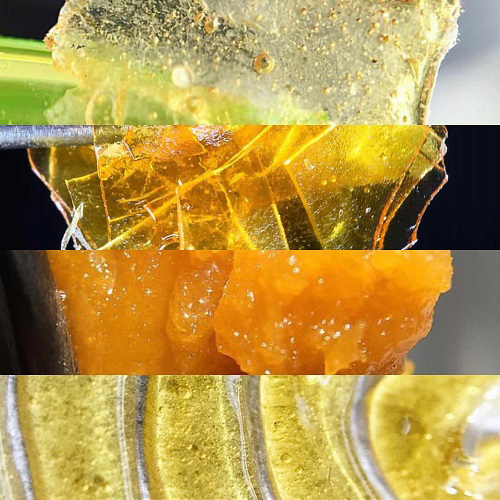 CBD Extraction